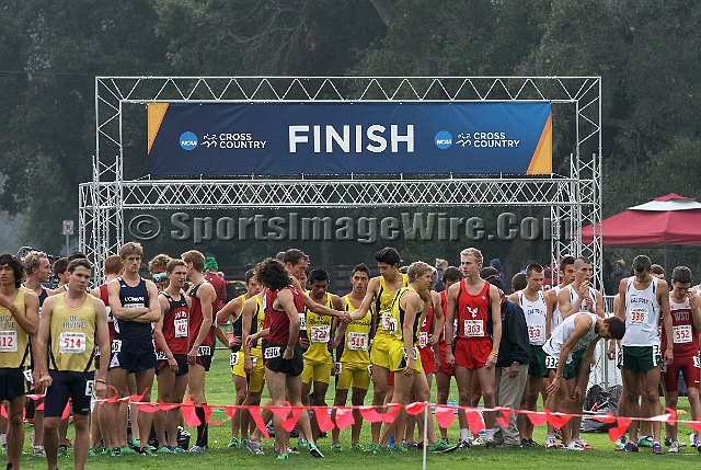 2011NCAAWestXC-010.JPG - 2011 NCAA Cross Country West Regional, November 12, Stanford Golf Course, Stanford, California.