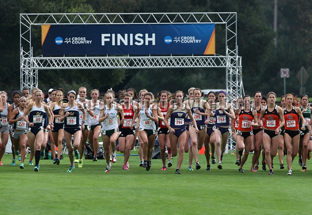 2011NCAAWestXC-116.JPG - 2011 NCAA Cross Country West Regional, November 12, Stanford Golf Course, Stanford, California.