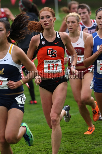 2011NCAAWestXC-149.JPG - 2011 NCAA Cross Country West Regional, November 12, Stanford Golf Course, Stanford, California.