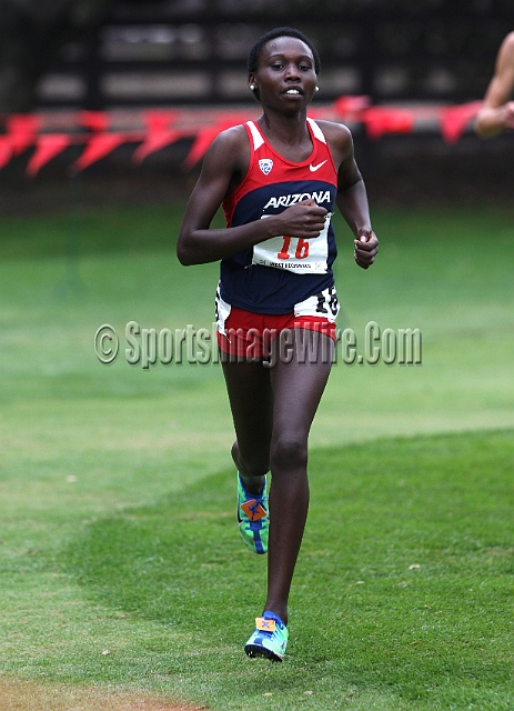 2011NCAAWestXC-158.JPG - 2011 NCAA Cross Country West Regional, November 12, Stanford Golf Course, Stanford, California.