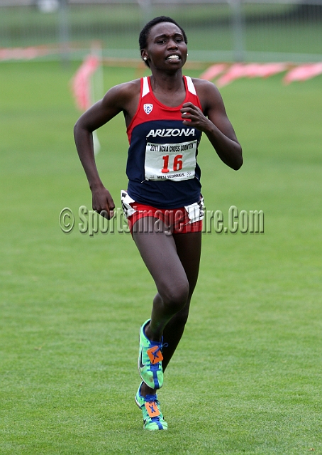 2011NCAAWestXC-173.JPG - 2011 NCAA Cross Country West Regional, November 12, Stanford Golf Course, Stanford, California.