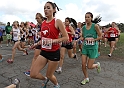 2011NCSXCD1-004