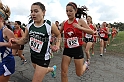 2011NCSXCD1-006