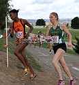 2011NCSXCD1-009