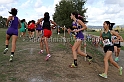2011NCSXCD1-013