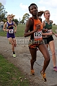 2011NCSXCD1-015