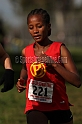 2011NCSXCD1-030