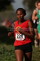 2011NCSXCD1-035