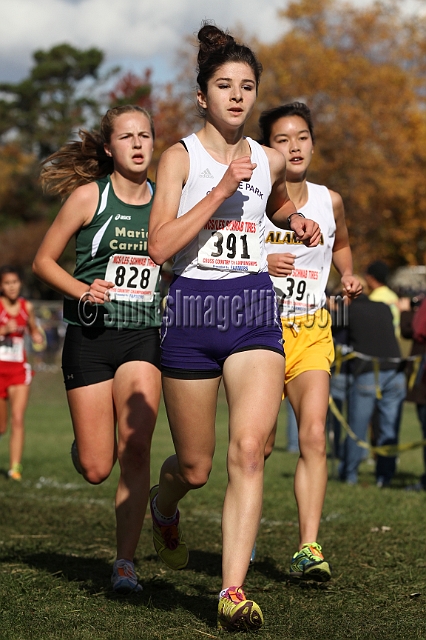 2011NCSXCD2-075.JPG - 2011 North Coast Section Cross Country Championships, Hayward High School, Hayward, California