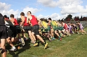 2011NCSXCD2-003