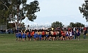 2011NCSXCD2-004