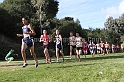 2011NCSXCD2-006