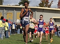 2011NCSXCD2-017