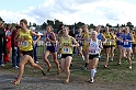 2011NCSXCD3-001