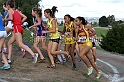 2011NCSXCD3-011