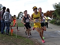 2011NCSXCD3-071