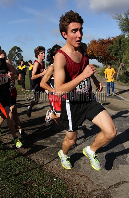 2011NCSXCD4-051.JPG - 2011 North Coast Section Cross Country Championships, Hayward High School, Hayward, California