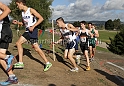 2011NCSXCD5-051