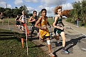 2011NCSXCD5-068