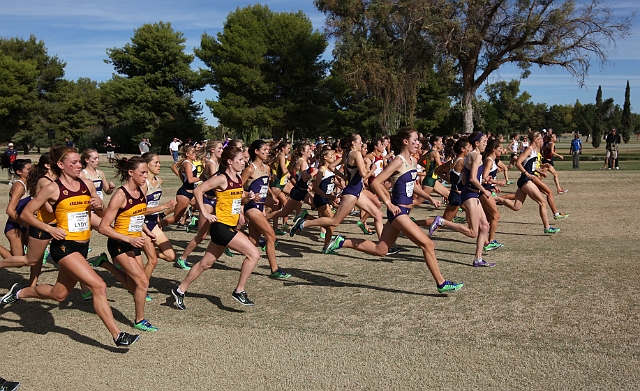 2011Pac12XC-193.JPG - 2011 Pac-12 Cross Country Championships October 29, 2011, hosted by Arizona State at Wigwam Golf Course, Goodyear, AZ.