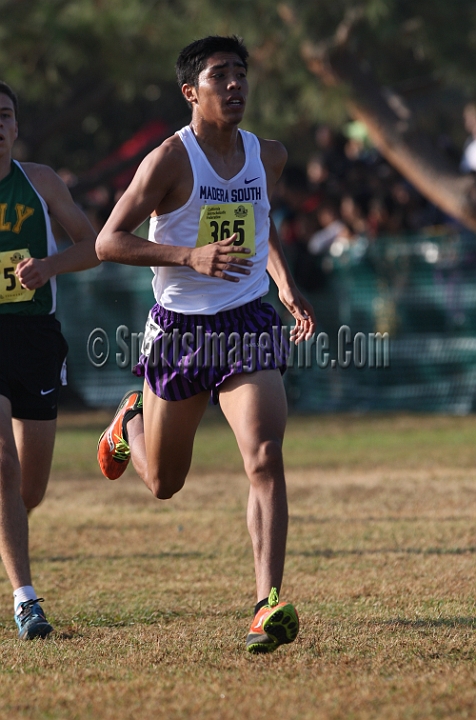 12CIFXCBD1-175.JPG - 2012 California CIF Cross Country Championships, Woodward Park, Fresno, California, November 24.