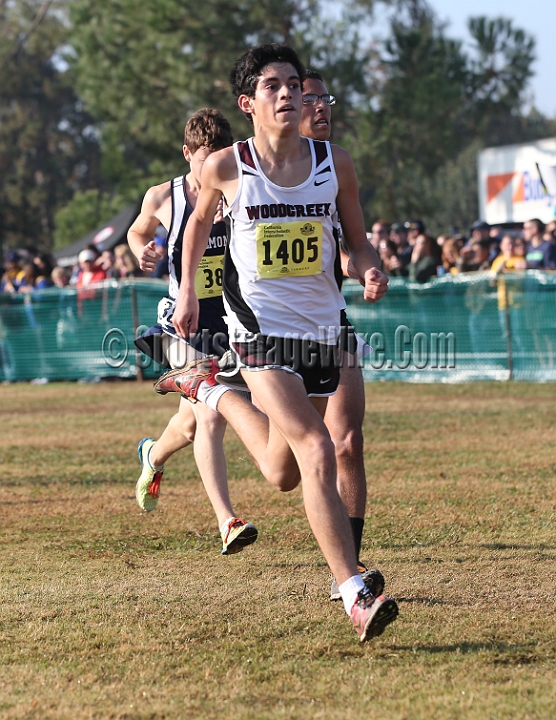 12CIFXCBD1-195.JPG - 2012 California CIF Cross Country Championships, Woodward Park, Fresno, California, November 24.