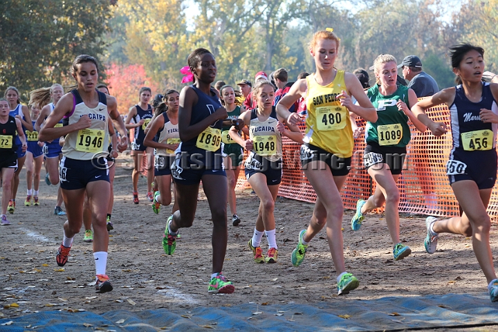 12CIFXCGD1-115.JPG - 2012 California CIF Cross Country Championships, Woodward Park, Fresno, California, November 24.