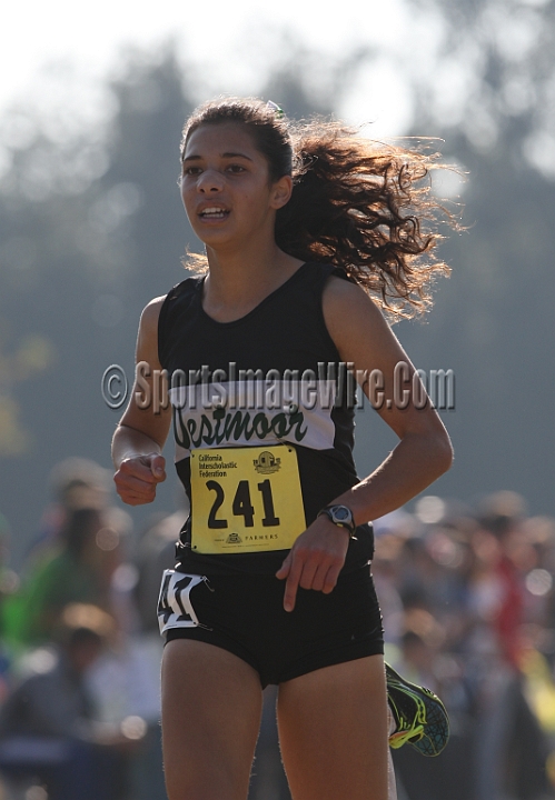 12CIFXCGD2-219.JPG - 2012 California CIF Cross Country Championships, Woodward Park, Fresno, California, November 24.