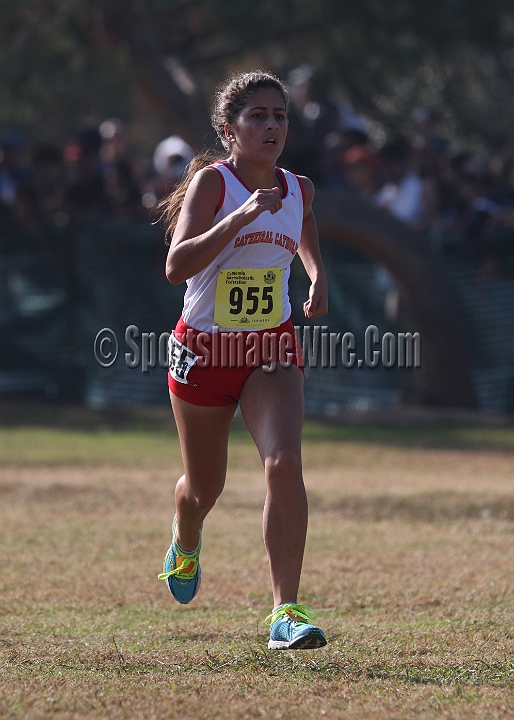 12CIFXCGD3-205.JPG - 2012 California CIF Cross Country Championships, Woodward Park, Fresno, California, November 24.