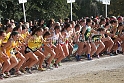 12CIFXCGD3-031