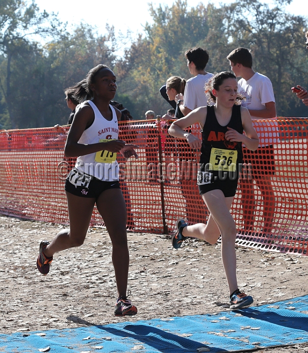 12CIFXCGD4-027.JPG - 2012 California CIF Cross Country Championships, Woodward Park, Fresno, California, November 24.