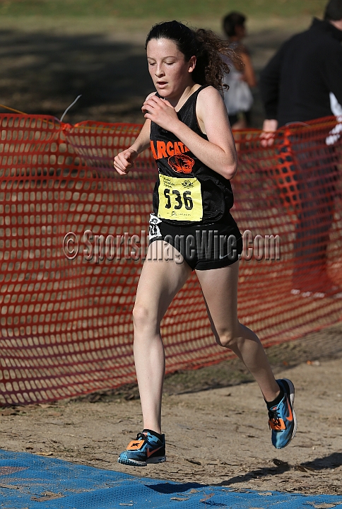12CIFXCGD4-100.JPG - 2012 California CIF Cross Country Championships, Woodward Park, Fresno, California, November 24.