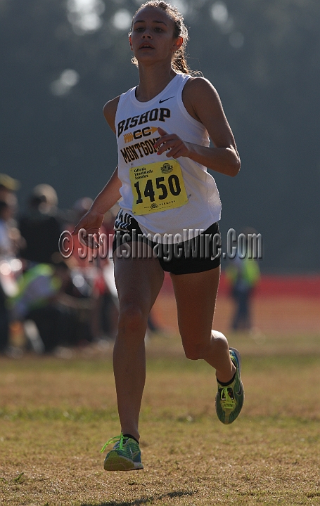 12CIFXCGD4-142.JPG - 2012 California CIF Cross Country Championships, Woodward Park, Fresno, California, November 24.