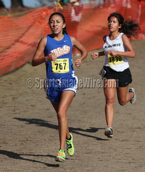 12CIFXCGD5-140.JPG - 2012 California CIF Cross Country Championships, Woodward Park, Fresno, California, November 24.