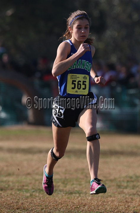 12CIFXCGD5-167.JPG - 2012 California CIF Cross Country Championships, Woodward Park, Fresno, California, November 24.