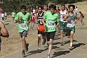 12ESIBFSJVUNLTD-034