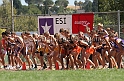 12ESIBVLGSC-017