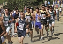 12ESIBVSMSC-048