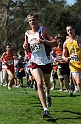12SIHSD1-123