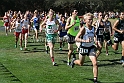 12SIHSSEED-027