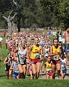 12SIHSSEED-266
