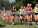 12SIHSSEED-277