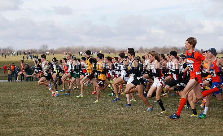 2013-NCAA-034.JPG - Nov 23, 2013; Terre Haute, IN, USA; NCAA cross country championships at LaVern Cross Country course, Terre Haute, IN.