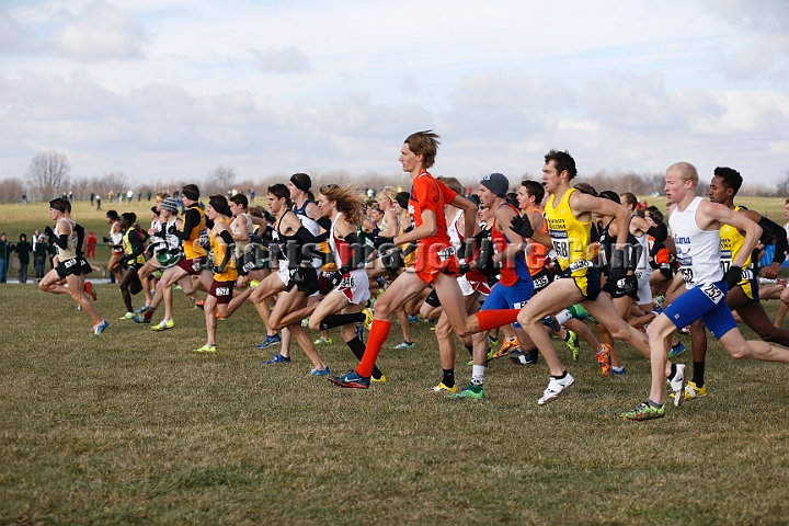 2013-NCAA-035.JPG - Nov 23, 2013; Terre Haute, IN, USA; NCAA cross country championships at LaVern Cross Country course, Terre Haute, IN.