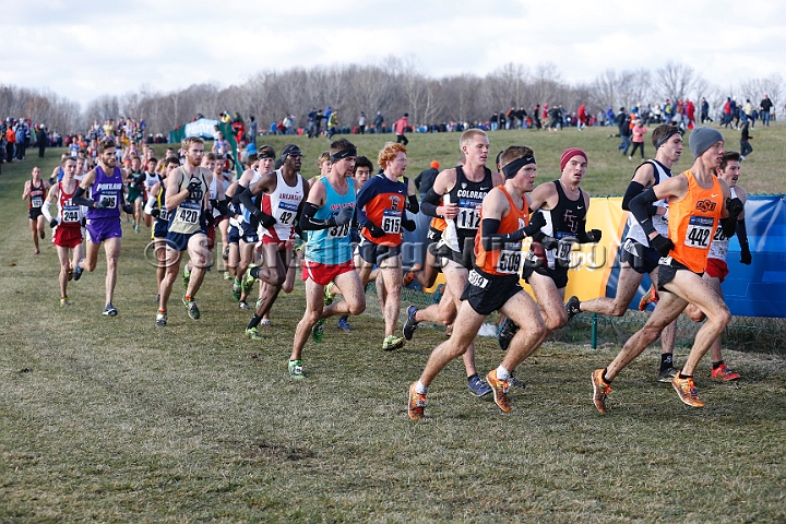 2013-NCAA-049.JPG - Nov 23, 2013; Terre Haute, IN, USA; NCAA cross country championships at LaVern Cross Country course, Terre Haute, IN.