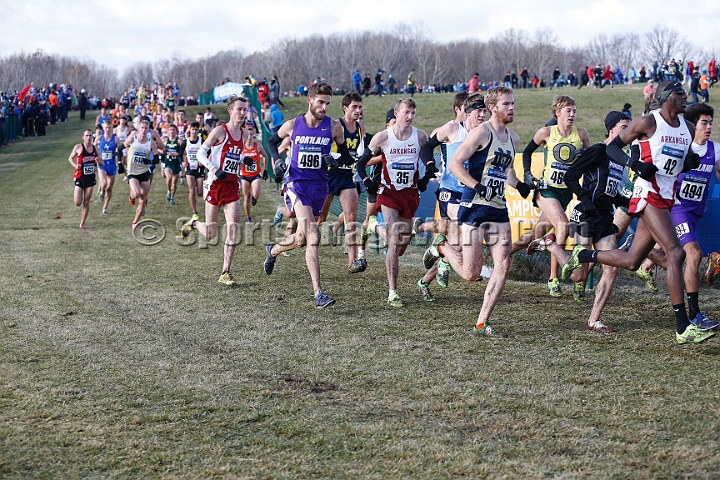 2013-NCAA-050.JPG - Nov 23, 2013; Terre Haute, IN, USA; NCAA cross country championships at LaVern Cross Country course, Terre Haute, IN.