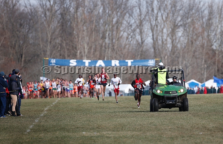2013-NCAA-051.JPG - Nov 23, 2013; Terre Haute, IN, USA; NCAA cross country championships at LaVern Cross Country course, Terre Haute, IN.