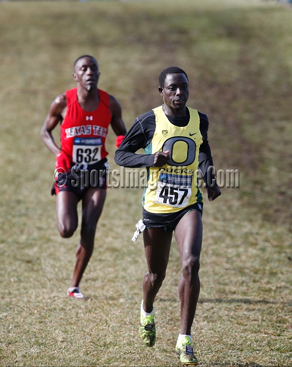 2013-NCAA-065.JPG - Nov 23, 2013; Terre Haute, IN, USA; NCAA cross country championships at LaVern Cross Country course, Terre Haute, IN.