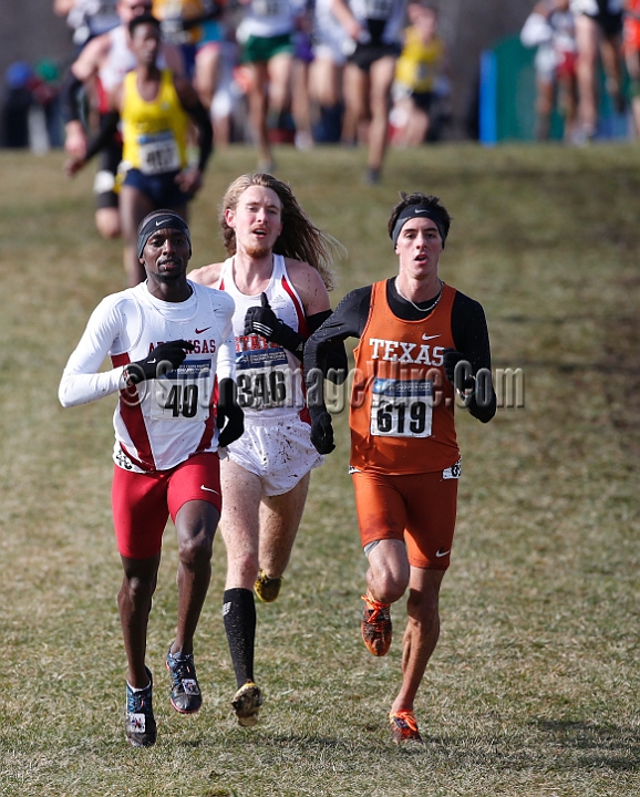 2013-NCAA-067.JPG - Nov 23, 2013; Terre Haute, IN, USA; NCAA cross country championships at LaVern Cross Country course, Terre Haute, IN.