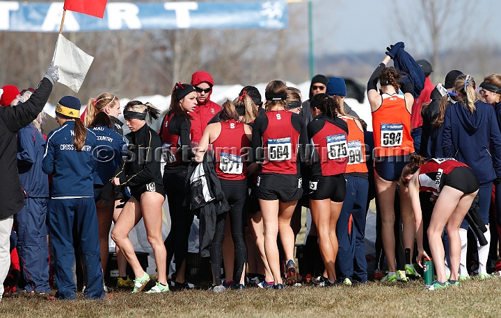 2013-NCAA-123.JPG - Nov 23, 2013; Terre Haute, IN, USA; NCAA cross country championships at LaVern Cross Country course, Terre Haute, IN.